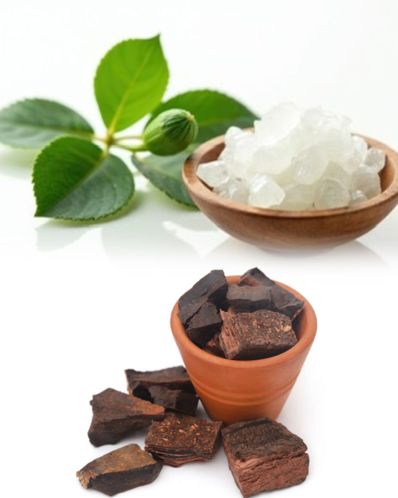 Catechu and Camphor Products